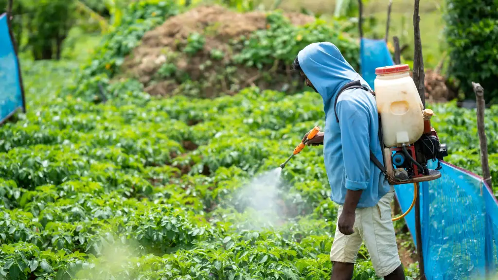 Dubai's Agricultural Landscape and Pest Challenges